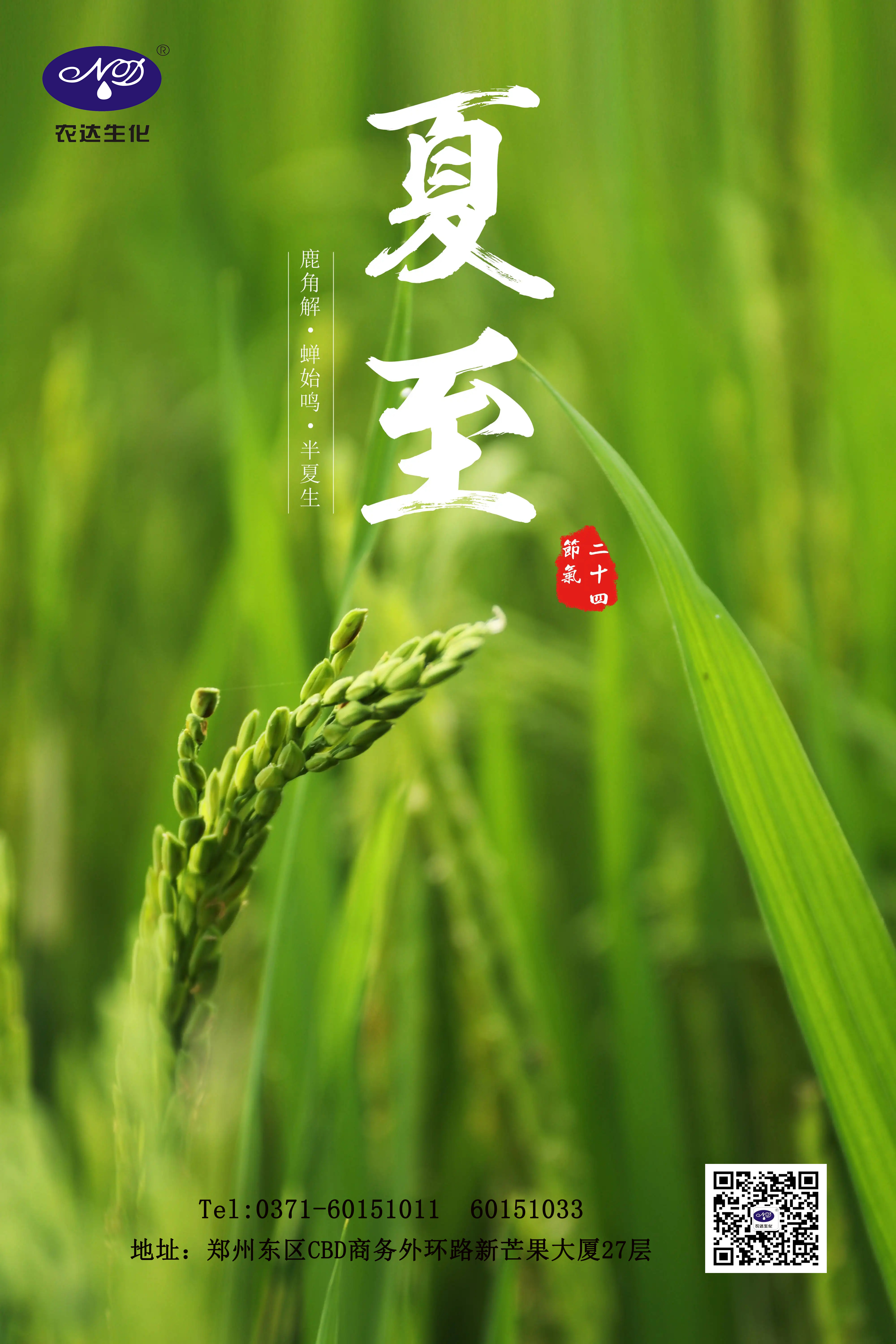 关注农时——夏至(图1)